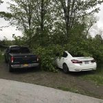 Tommy-Trees-emergency-tree-services-Orange-County-NY-IMG_0005