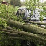 Tommy-Trees-emergency-tree-services-Orange-County-NY-IMG_0007